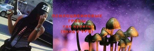 молекула духа Алексеевка