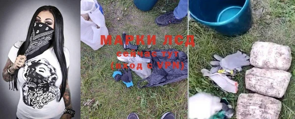 крисы Алзамай