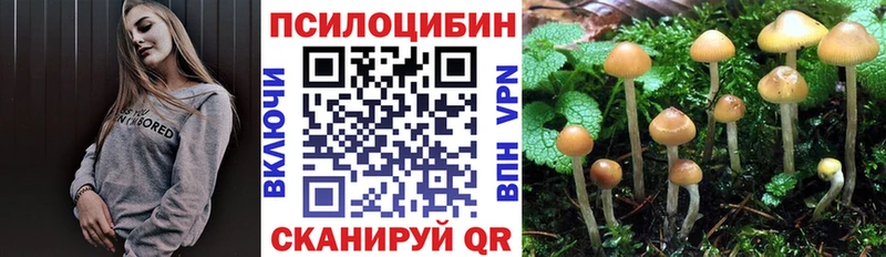 Галлюциногенные грибы MAGIC MUSHROOMS  купить   Ленинск 